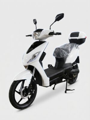 Indigo-ES-1001