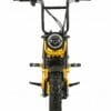 fat tire electric bike front view
