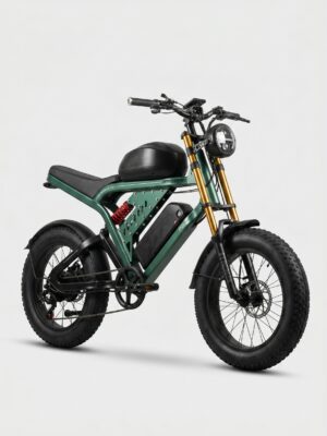 INDIGO EB-2006 city electric bike main view