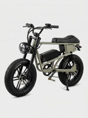 INDIGO-EB-2007 urban electric bicycle