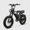 V20 fat tire fatbike