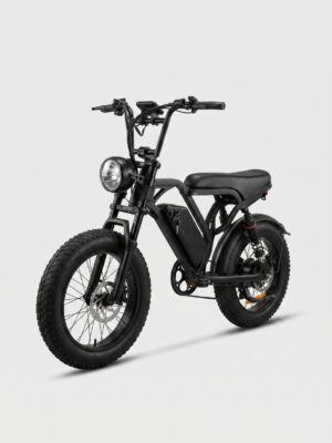 V20 fat tire fatbike