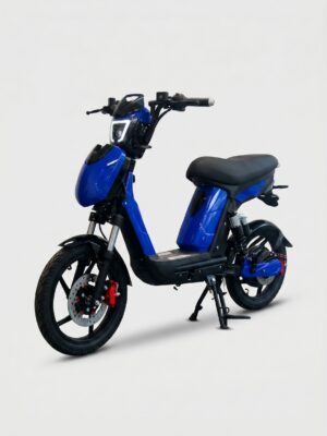 INDIGO-ES-1009