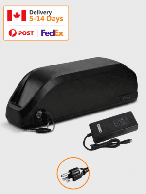 Parrot lithium e-bike battery pack with charger, high capacity electric bicycle replacement battery for e-bike